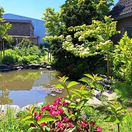 Luxe Ruime Studio Op Unieke, Rustige Locatie Dokkum Luaran gambar